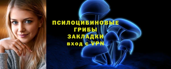 гидропоника Пестово