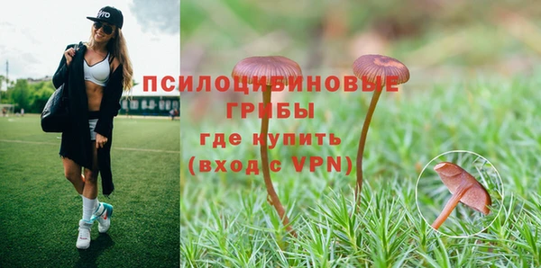 mdpv Пересвет