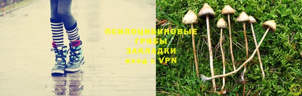 гидропоника Пестово