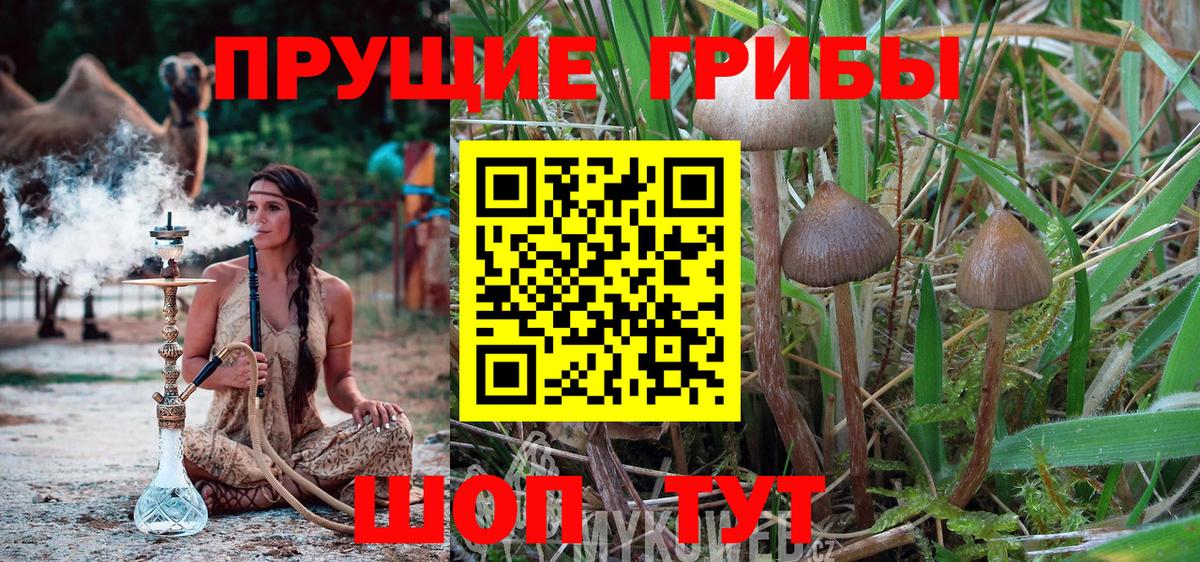 Псилоцибиновые грибы мухоморы  Вход с VPN  Балахна 