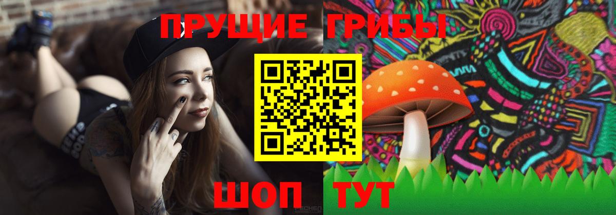 Галлюциногенные грибы прущие грибы Балахна